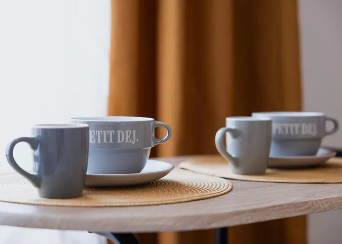 Meuble 4 Proche Du Centre Appartement Clermont-Ferrand