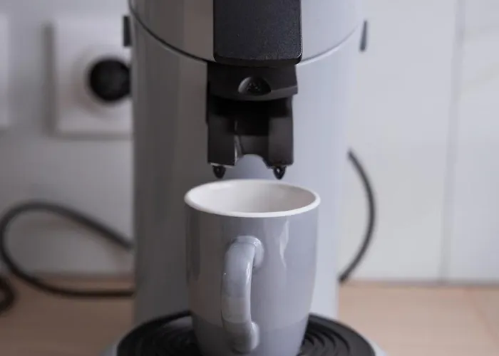 Meuble 4 Proche Du Centre Clermont-Ferrand